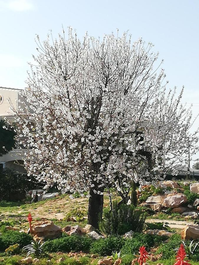 Monte Viana Villa Fuzeta Bagian luar foto