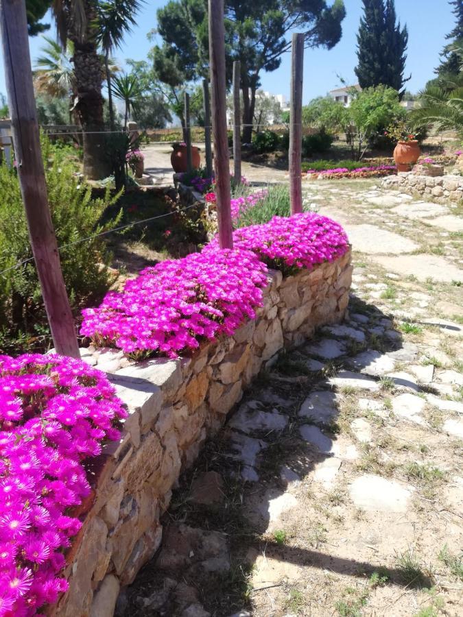 Monte Viana Villa Fuzeta Bagian luar foto